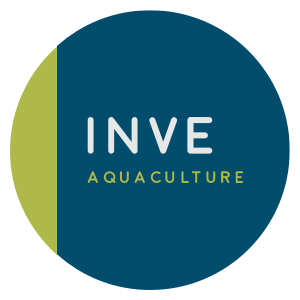 INVE Logo
